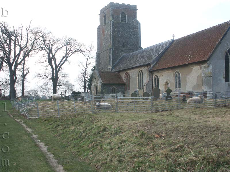 Sheep in the churchyard