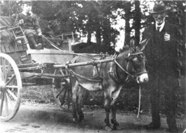 Walter Reeve and son George c.1880