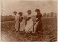 One more of Eliza, hoeing in front of Stone Common about 1919, with Lizzie Ling, Lizzie Baskett & Ann Jay.
