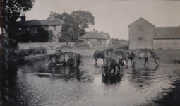 Limetree Farm in 1933