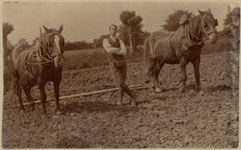 Hubert Ling with horse team, around 1920