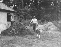 Feeding the pigs at The Rectory in the early 50s