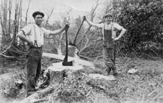 Geoff Mayhew deforesting Blaxhall in the 1930s