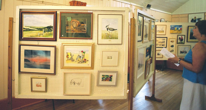 Displays at the village hall