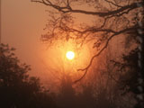 Sunrise from Stone Farm